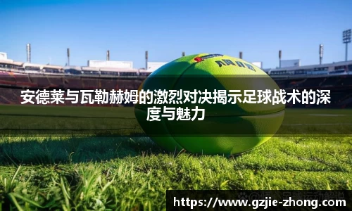金年会